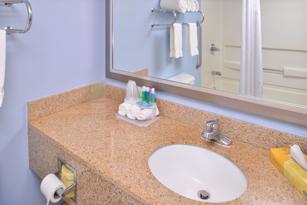 Holiday Inn Express & Suites Central Omaha by IHG - photo 15