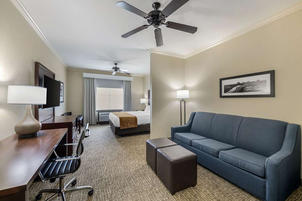 Comfort Inn & Suites Fort Worth Fossil Creek - photo 33