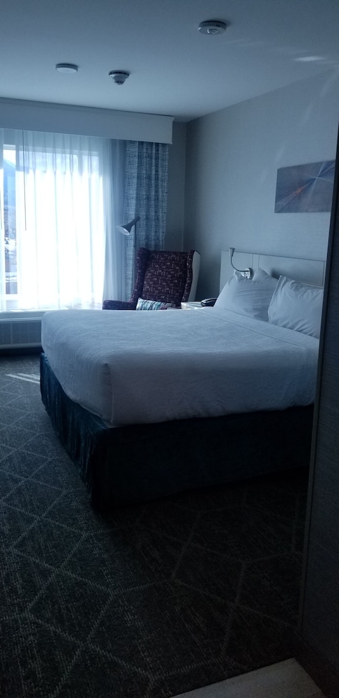 Hilton Garden Inn Colorado Springs Downtown - photo 10