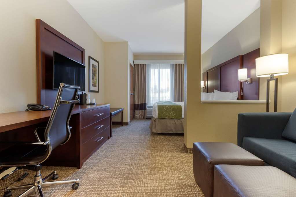 Comfort Suites Piedmont Greenville South - photo 9