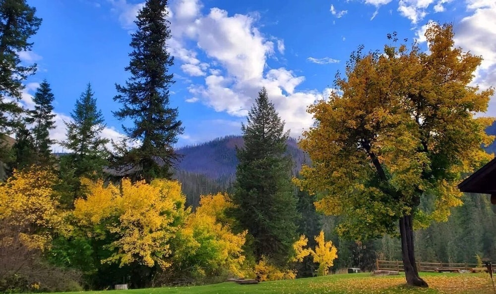Lochsa Lodge Resort - photo 287