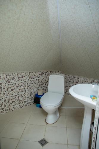 Duplex