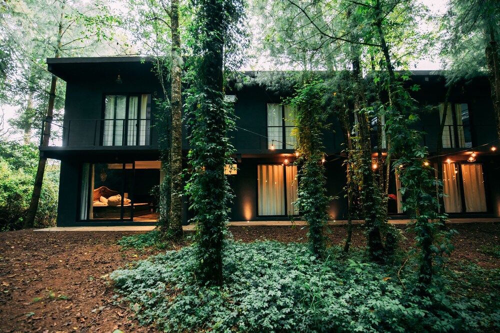 Boscoso in Valle De Bravo, Mexico