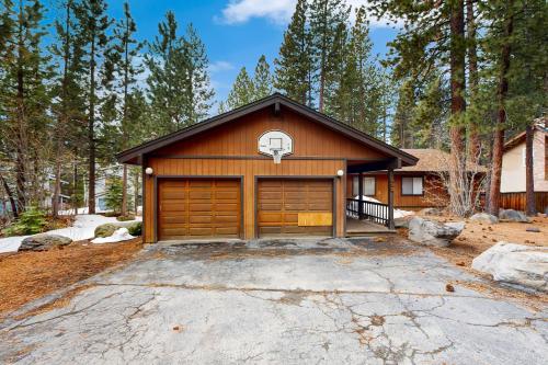 Scenes of Evergreens in Incline Village, United States