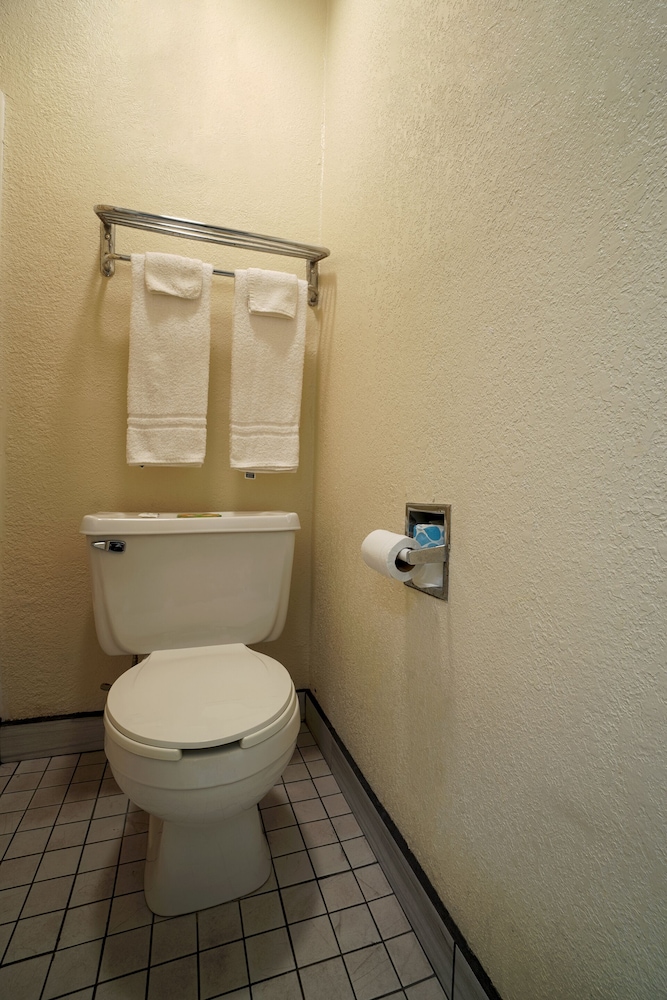Texas Inn San Benito near Harlingen - photo 45