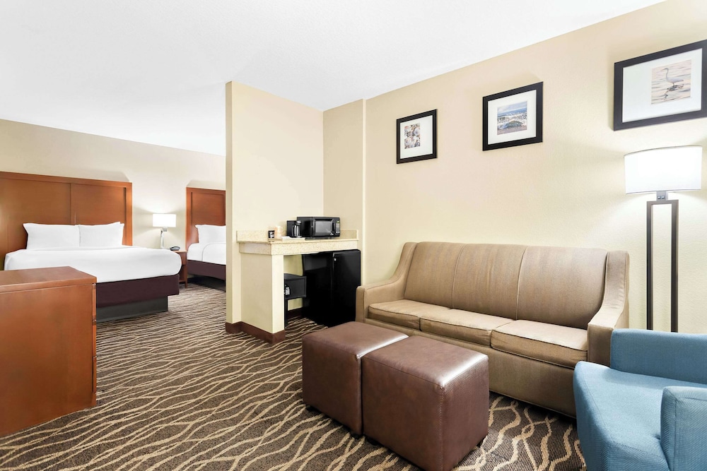 Comfort Suites Tampa Airport North - photo 10