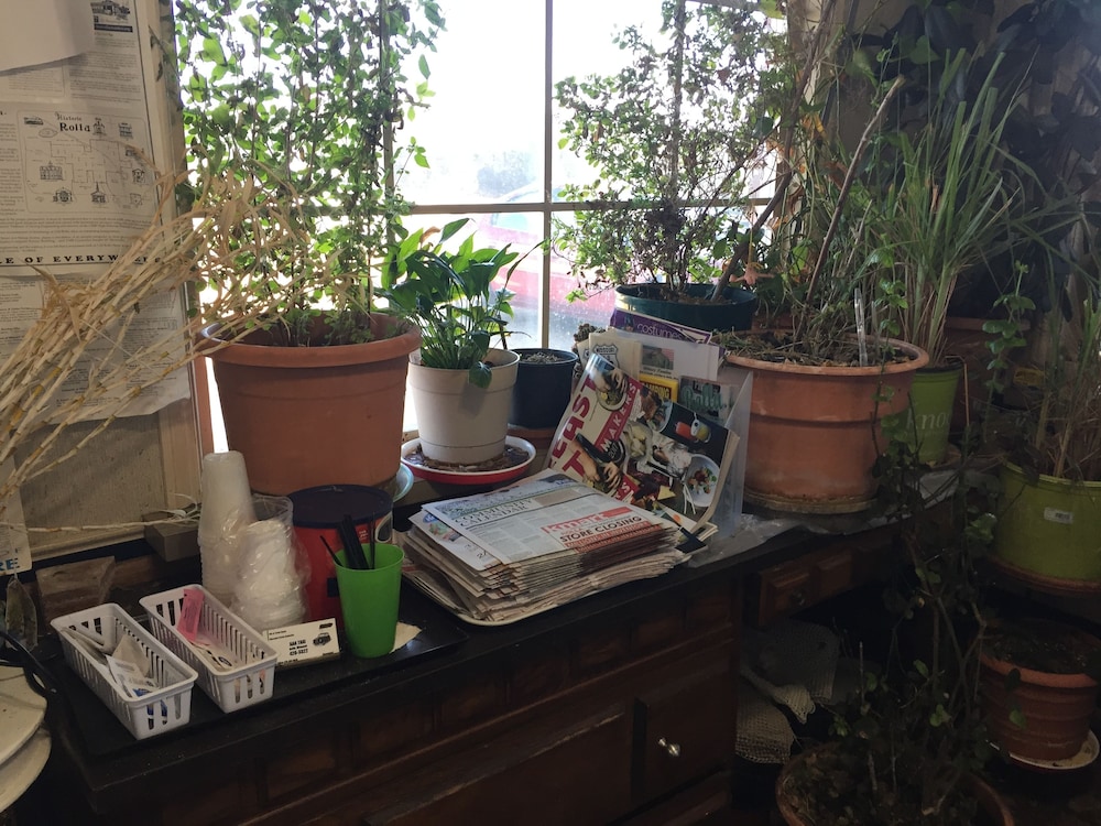 Rustic Motel Rolla - photo 4