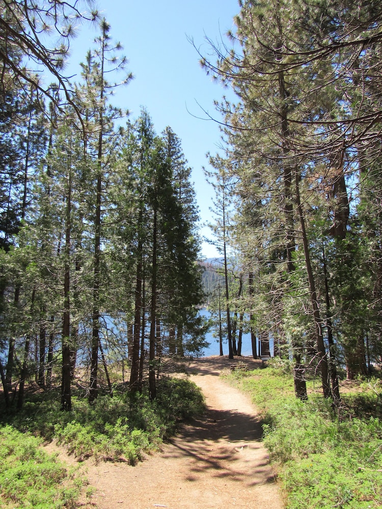 John Muir Lodge - photo 64