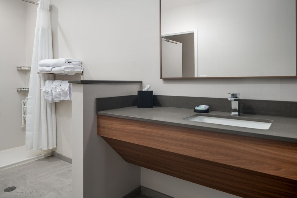 Fairfield by Marriott Inn & Suites Albertville - photo 8