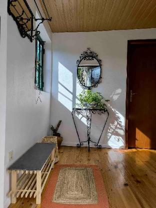 Canastro Nature Spot in Viseu, Portugal