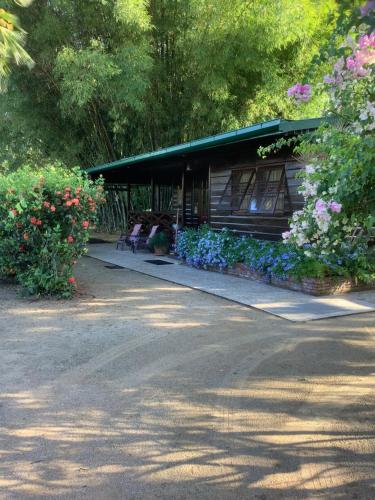 Bamboe in Unknown City, Suriname