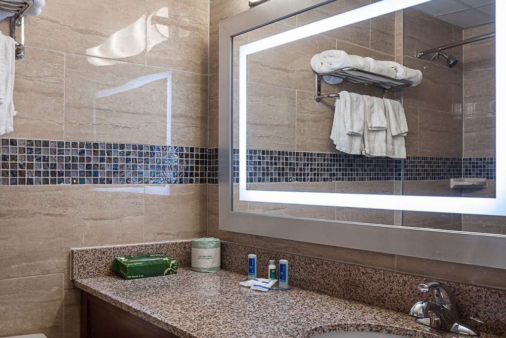 Rodeway Inn Meadowlands - photo 12