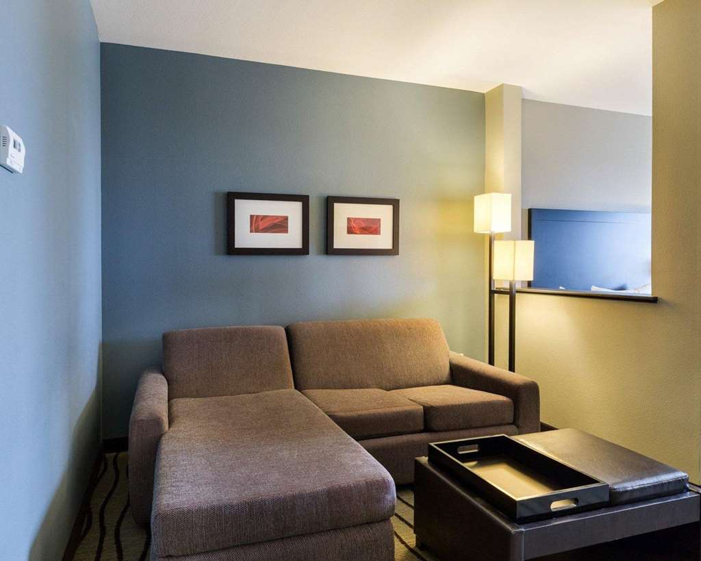 Comfort Suites near Westchase on Beltway 8 - photo 18
