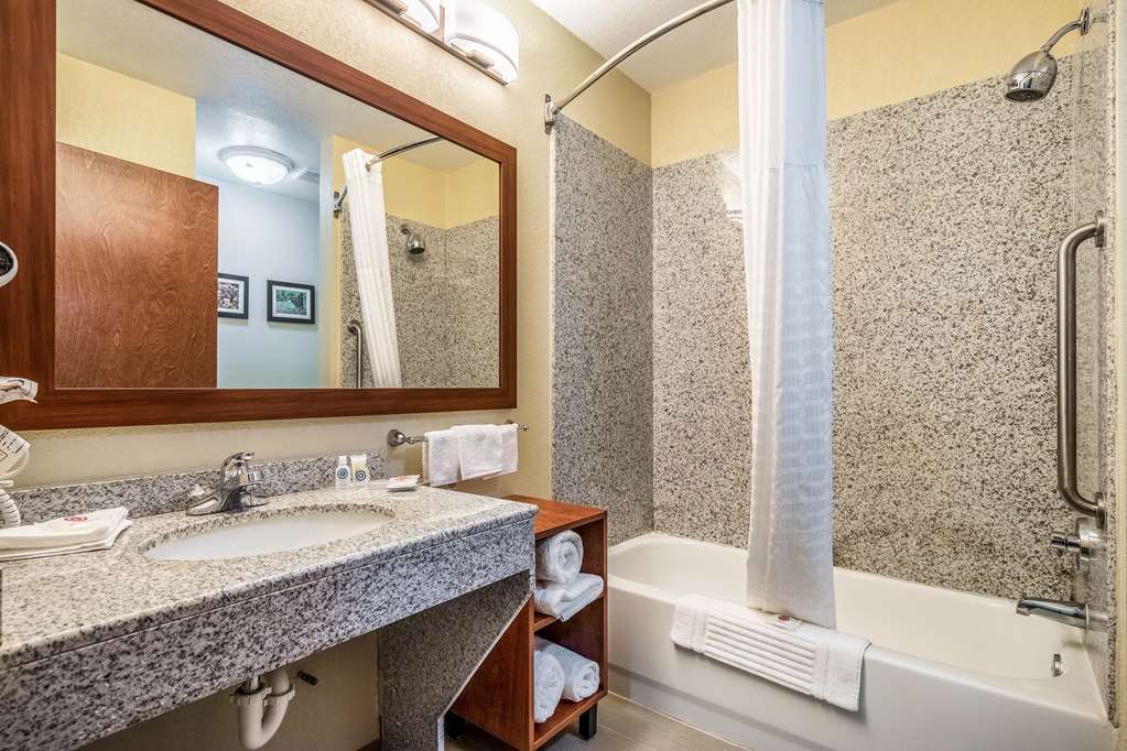 Comfort Suites Near Texas State University - photo 12