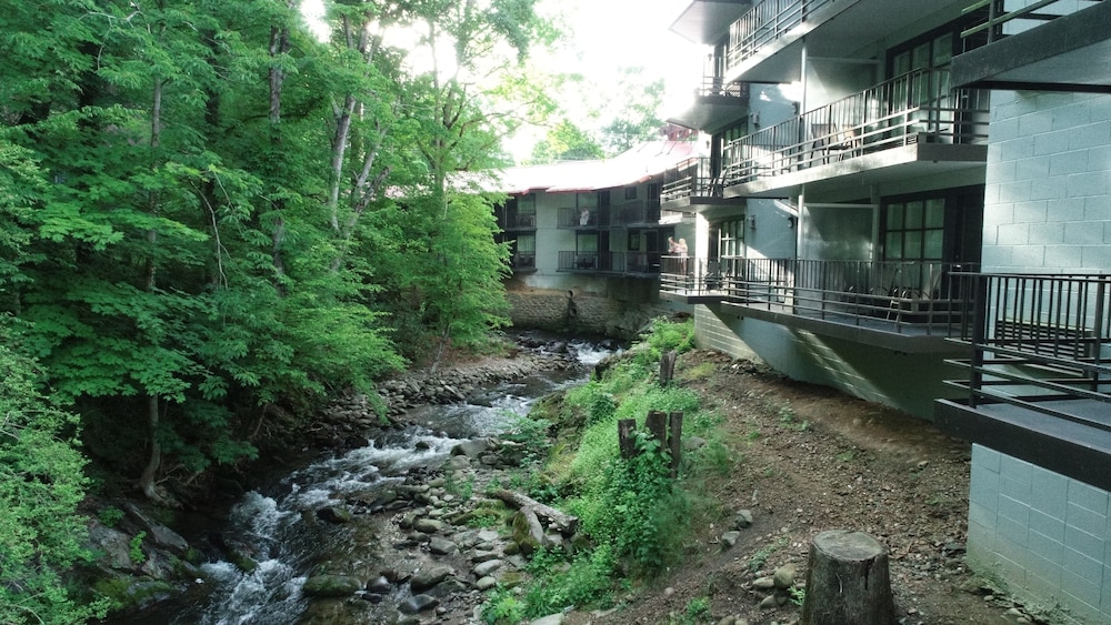 Bear Creek Inn - photo 49