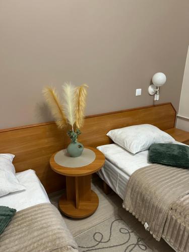 Svečių namai RASA in Raseiniai, Lithuania