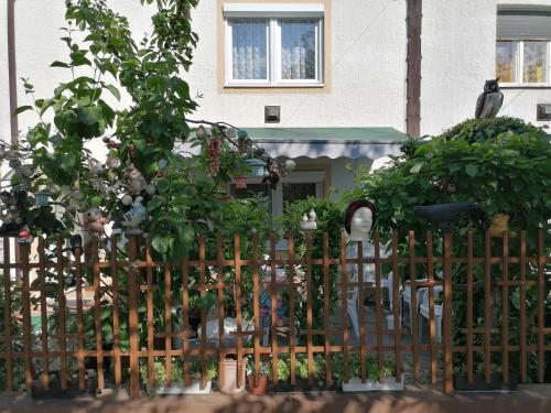 Ildikó Vendégház Hévíz in Heviz, Hungary