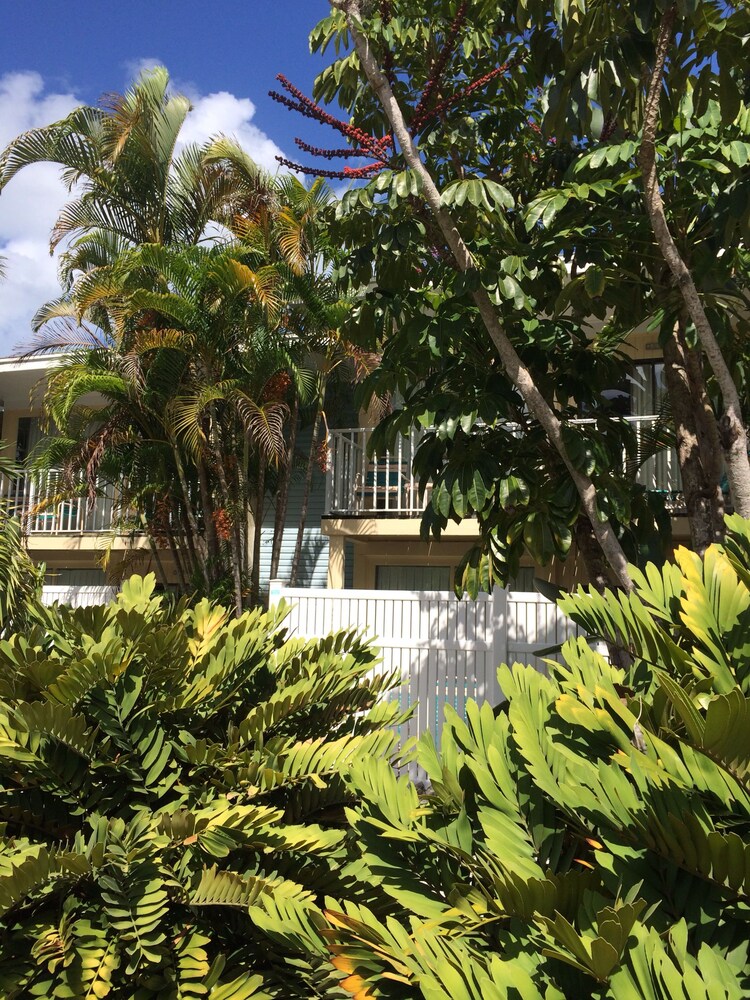 Coquina On The Beach - photo 62