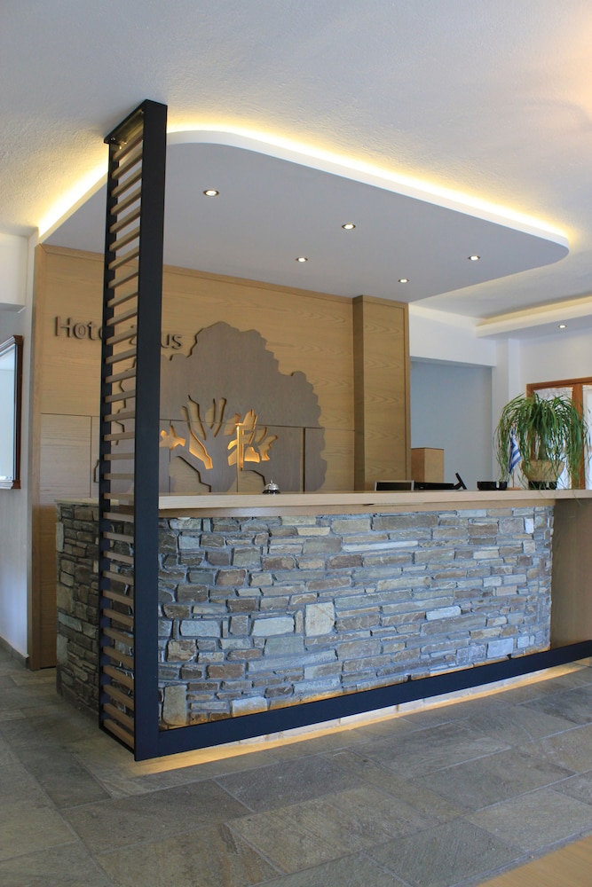 Zeus Hotel — Pyrgetos — photo 2