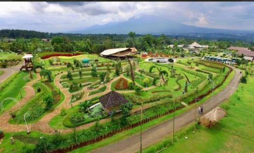 Omah Trasan Pangrango — Bogor — photo 3