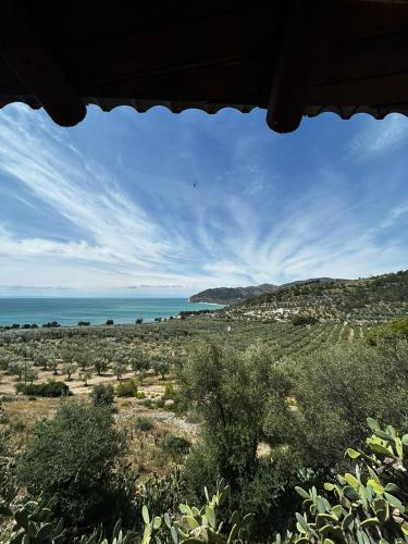 Villa Torre di Lupo — 4-Star Luxury Hotel in Mattinata, Italy
