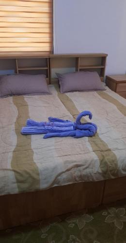 Golden hotel in Jarash, Jordan