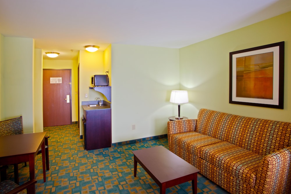Holiday Inn Express & Suites Thornburg S. Fredericksburg an IHG Hotel - featured photo