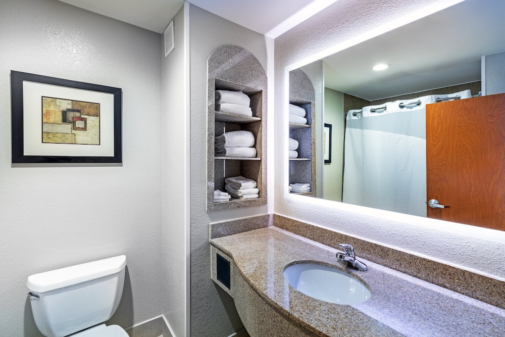 Holiday Inn Express Hotel and Suites Pryor by IHG - photo 22