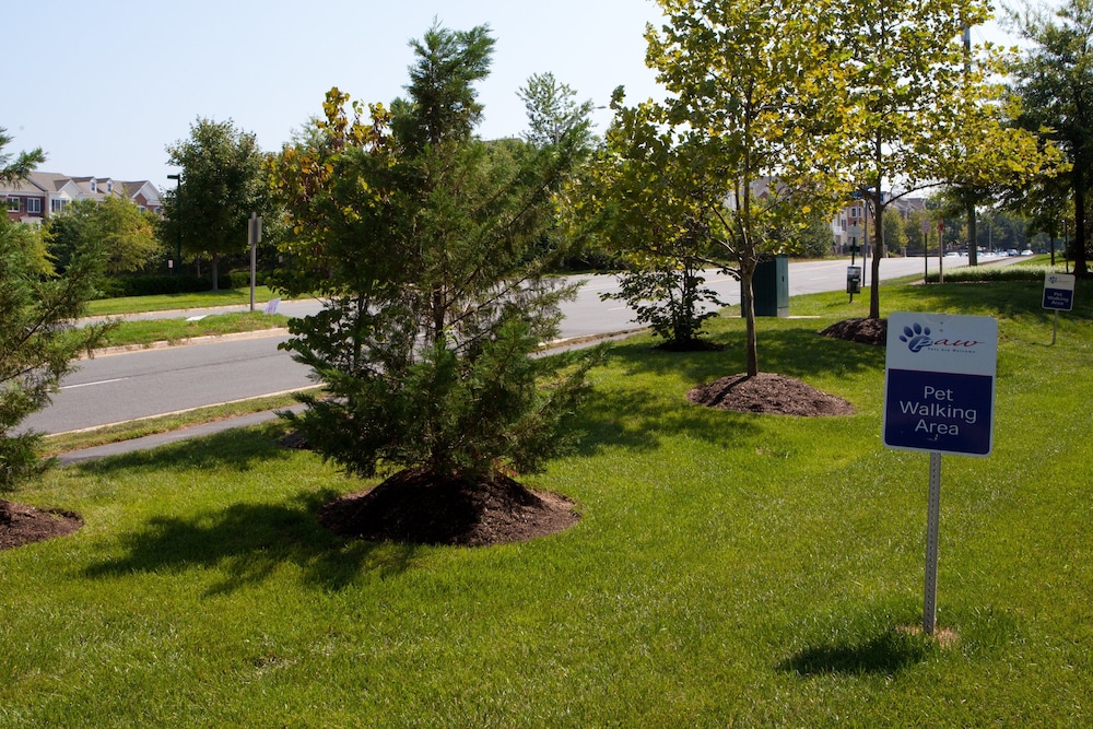 Candlewood Suites Herndon by IHG - photo 31