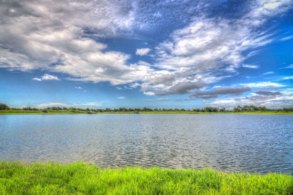 Orlando Luxury Escapes - photo 544