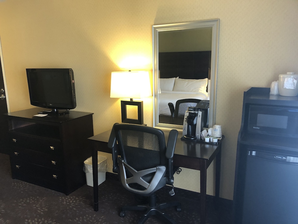 Holiday Inn Express Hotel & Suites Lansing Dimondale by IHG - photo 20
