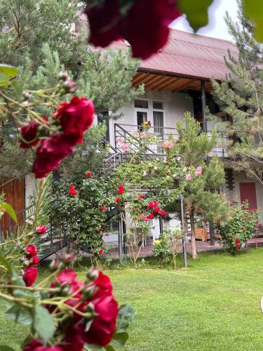Podsolnukhi Guest House — 4-Star Luxury Hotel in Cholpon-Ata, Kyrgyzstan