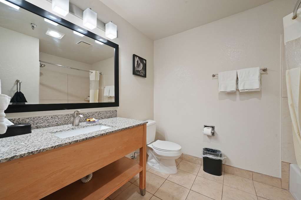 Best Western Plus Executive Inn & Suites - photo 40