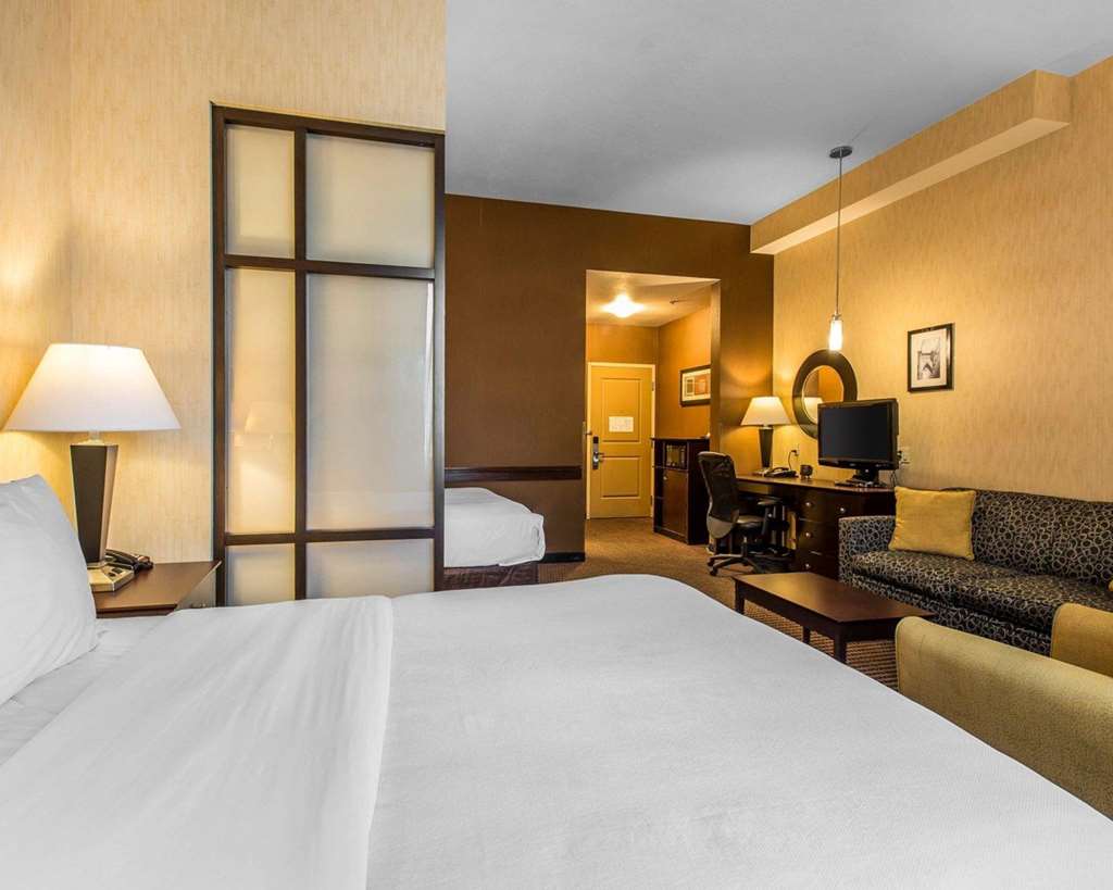 Comfort Suites Near City of Industry Los Angeles - photo 8