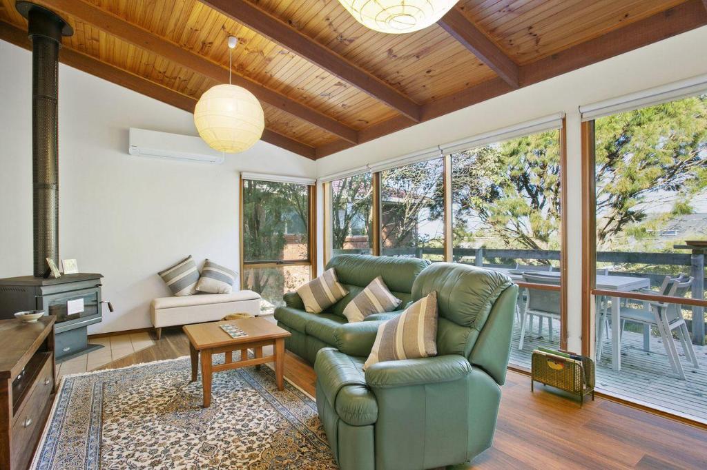 Apollo Bay People N Paws in Apollo Bay, Australia