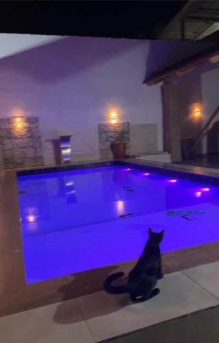 Pousada E Hotel Floresta Amazonica in Rio Branco, Brasil