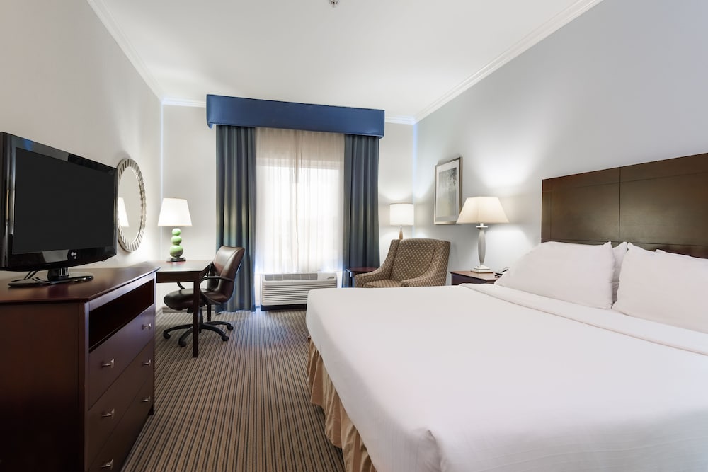 Holiday Inn Express Hotel & Suites New Iberia Avery Island by IHG - photo 11