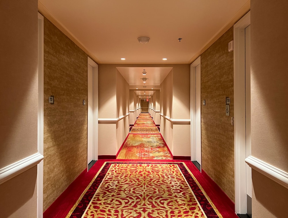 Ahern Hotel Las Vegas - photo 80