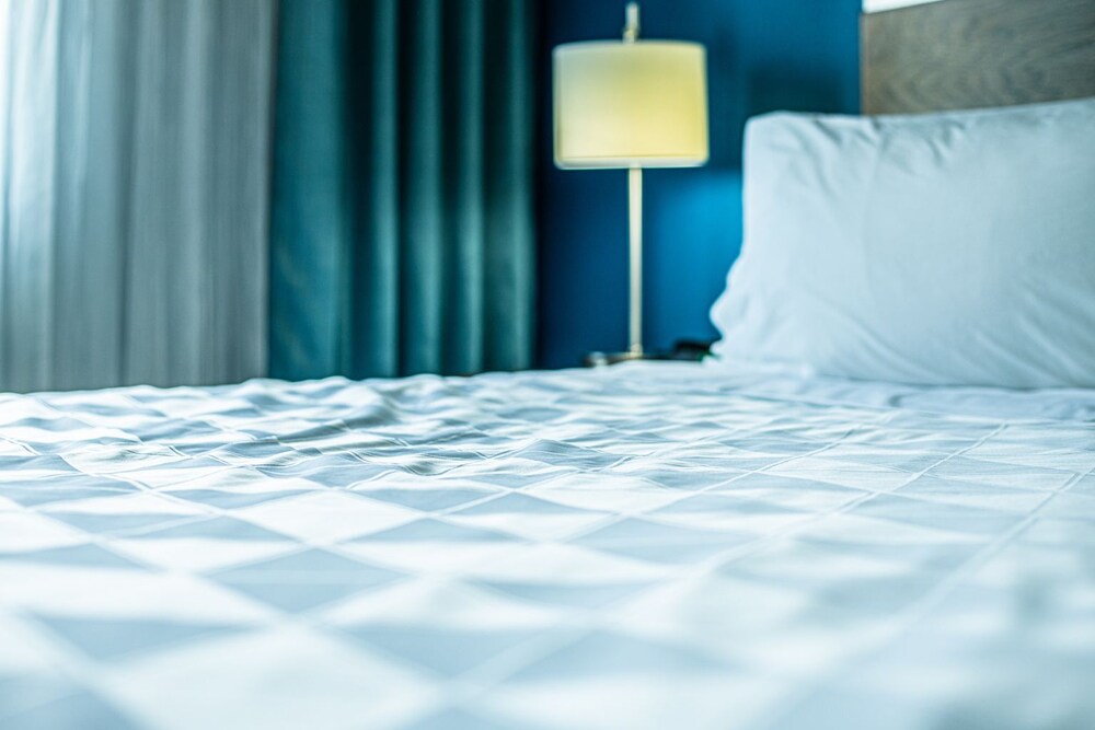 Holiday Inn Houston Downtown by IHG - photo 16