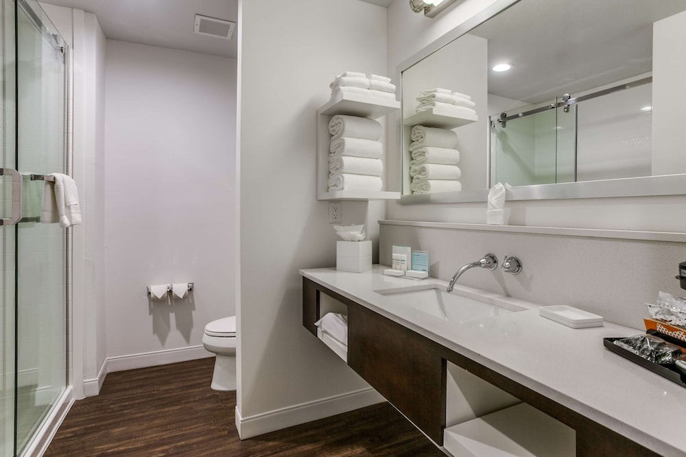 Hampton Inn & Suites North Dallas Central Expy - photo 18