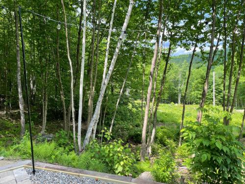 Hillside HideAway — Phillips — photo 4