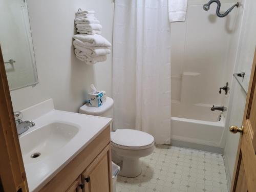 Willamette Pass Inn & Chalets - photo 15