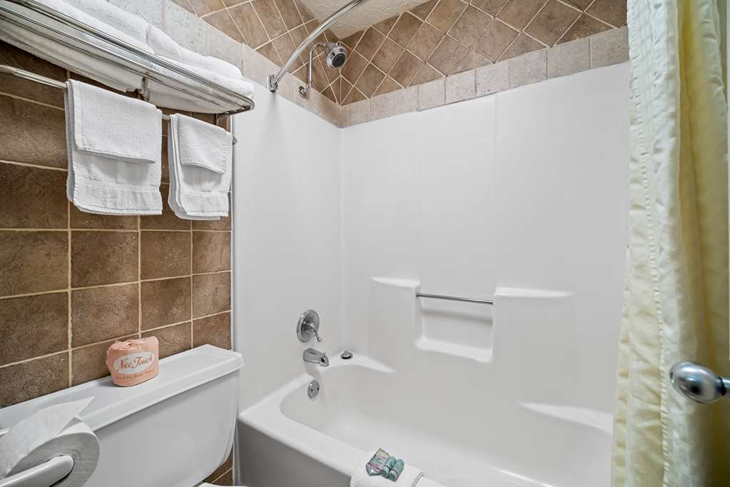 Best Western Braselton Inn - photo 17