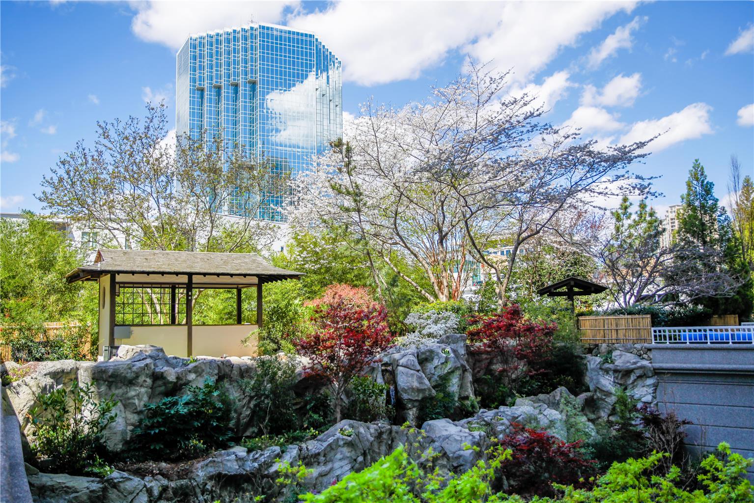 Grand Hyatt Atlanta in Buckhead - photo 32