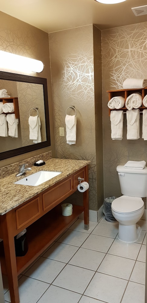 Hampton Inn Pell City - photo 15