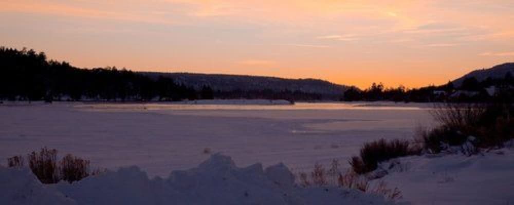 Gold Mountain Manor - photo 100
