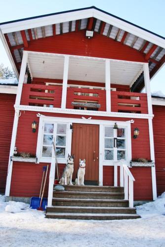 Loma Vietonen Holiday Village in Ylitornio, Finland