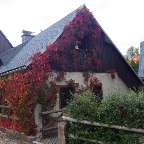 Ferienhaus Frieda — 4-Star Luxury Hotel in Altenberg, Germany