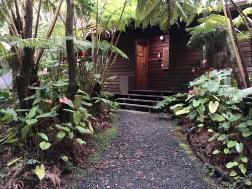 Volcano Inn - photo 64
