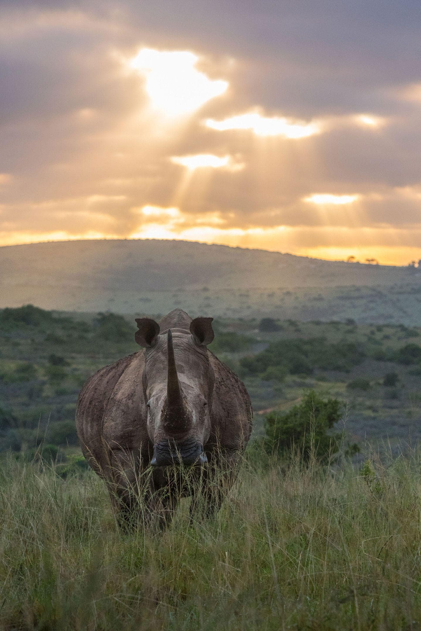 Sarili Private Villa — 5-Star Luxury Hotel in Grahamstown, South Africa